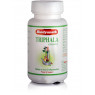 Трифала Гуггул, Triphala gugglu Baidyanath, 80 таб