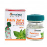 Бальзам Пэйн балм Болеутоляющий, Pain Balm Himalaya, 45 гр